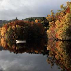 Autumn Reflections