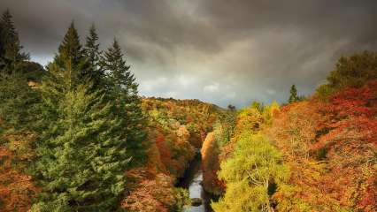 Killiecrankie Autumn