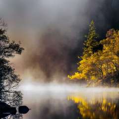 Loch Ard Autumn Mist