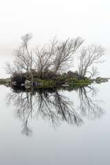 Glencoe Mist