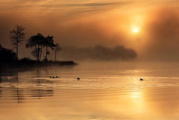 A magical moment on the shores of Loch Ard as the Sun tries to break through the mist, with trees reflecting in the still water.<br /><a href="https://shop.photo4me.com/picture.aspx?id=225111&f=canvas"><font>Buy Print or Canvas</font></a><a></a> <a href="https://shop.photo4me.com/picture.aspx?id=225111&f=canvas"><img src="https://www.photoscotland.net/captionpic/p4me.jpg" alt="p4me.jpg" /></a><a></a>