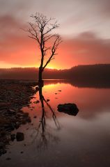 Scottish landscape photography - capturing Scotland's stunning landscape and more