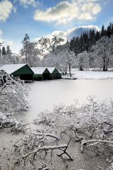 Boat houses on a frozen Loch Ard with frosted trees and branches strewn over the Loch.<br /><a href="https://shop.photo4me.com/picture.aspx?id=257198&f=canvas"><font>Buy Print or Canvas</font></a><a></a> <a href="https://shop.photo4me.com/picture.aspx?id=257198&f=canvas"><img src="https://www.photoscotland.net/captionpic/p4me.jpg" alt="p4me.jpg" /></a><a></a>