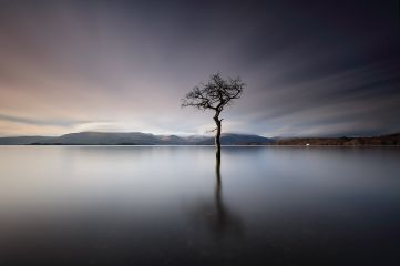 A long exposure of a  lone tree reflecting on the calm water of Loch Lomond. <br /><a href="https://shop.photo4me.com/picture.aspx?id=540942&f=canvas"><font>Buy Print or Canvas</font></a><a></a>   <a href="https://shop.photo4me.com/picture.aspx?id=540942&f=canvas"><img src="https://www.photoscotland.net/captionpic/p4me.jpg" alt="p4me.jpg" /></a><a></a>
