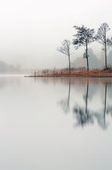 A misty morning on the shore of Loch Ard with the autumn coloured trees reflecting on the water.<br /><a href="https://shop.photo4me.com/picture.aspx?id=338231&f=canvas"><font color="#f59042">Buy Print or Canvas</font></a><a></a> <a href="https://shop.photo4me.com/picture.aspx?id=338231&f=canvas"><img src="https://www.photoscotland.net/captionpic/p4me.jpg" alt="p4me.jpg" /></a><a></a>
