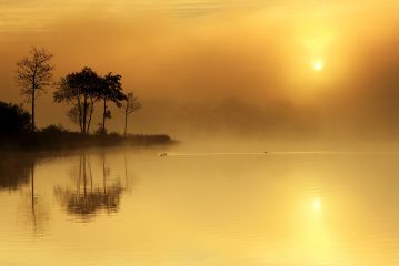 A magical moment on the shores of Loch Ard as the Sun tries to break through the mist, with trees reflecting in the still water.<br /><a href="https://shop.photo4me.com/picture.aspx?id=225118&f=canvas"><font>Buy Print or Canvas</font></a><a></a> <a href="https://shop.photo4me.com/picture.aspx?id=225118&f=canvas"></a><a></a>
